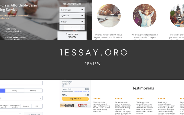 1essay.org review